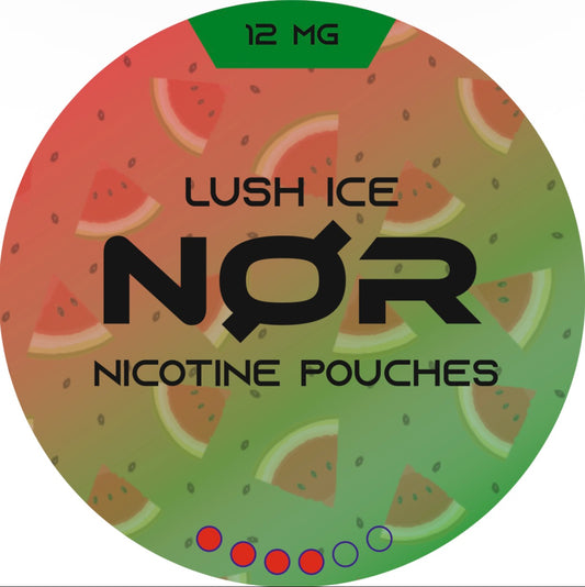 Lush Ice | 12MG | AVALANCHE